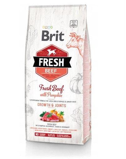 BRIT Fresh beef with tekvica puppy large granule pre šteňatá s hovädzím mäsom a tekvicou 2,5 kg