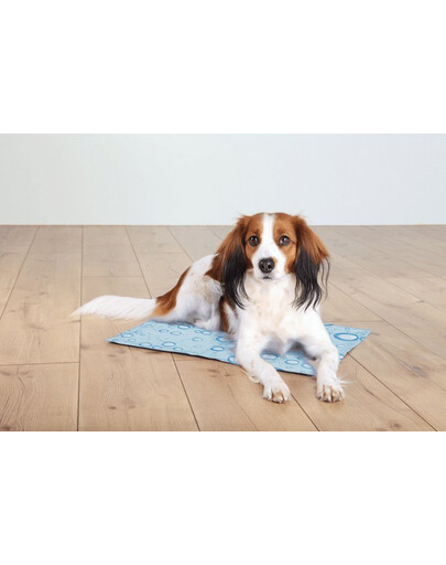 Trixie Chladiaca podložka pre psov veľkosť M: 50 × 40 cm