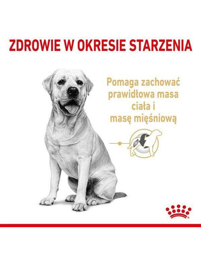 Royal Canin Labrador 5+, 12kg Pelety pre dospelých labradorských retrieverov