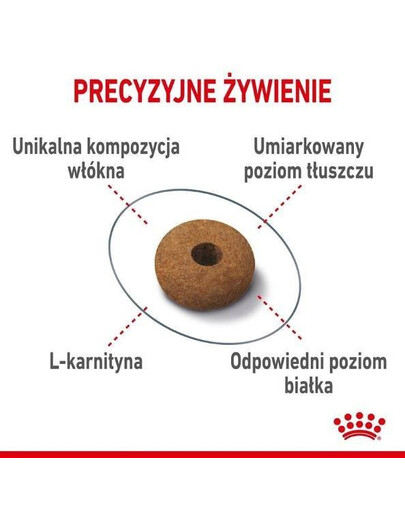 Royal Canin Appetite Control 10 kg - granule pro dospělé kočky na snížení hladu