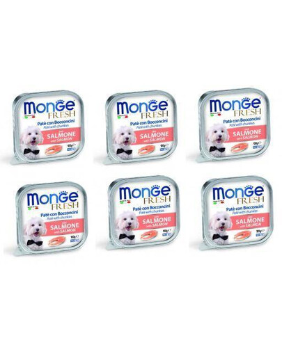 MONGE Fresh s lososom pre psov 100 g