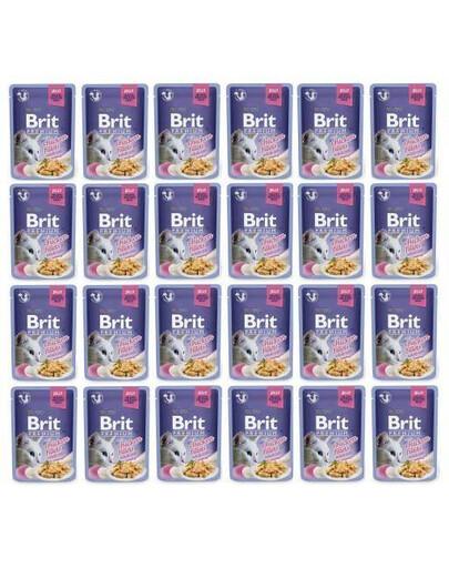 BRIT Premium filety v želé 24x 85 g