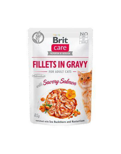 BRIT Care filety v slanej omáčke z lososa 24x 85 g filétov z lososa v omáčke