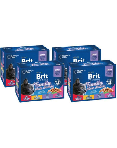 BRIT Premium sada sáčkov mix príchutí Family Tale 48x 100 g
