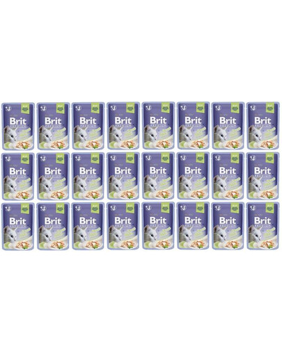 BRIT Prémiové filety z pstruha v želé 24x 85 g