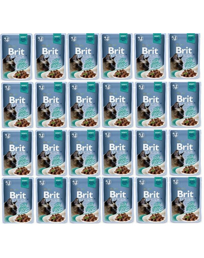 BRIT Premium filety vo vrecúškach z hovädzieho mäsa Gravy pre mačky 24x 85 g