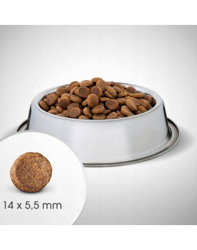 Perfect Fit™ granule pre dospelé psy stredných a veľkých plemien, bohaté na kuracie mäso 6 kg