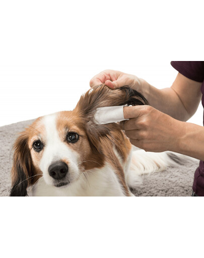 Trixie Ear Care čisté uši vankúšiky na prsty, 50 ks