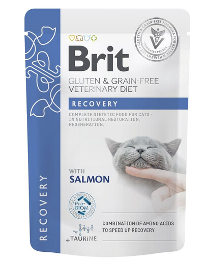 BRIT Veterinary Diet Grain Free Recovery Cat Fillets in Gravy Salmon 12x85g pre mačky v období rekonvalescencie