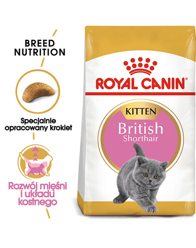 ROYAL CANIN Kitten british shorthair 4x2 kg krmivo pre mačiatka, do 12 mesiacov, plemeno Britská krátkosrstá mačka