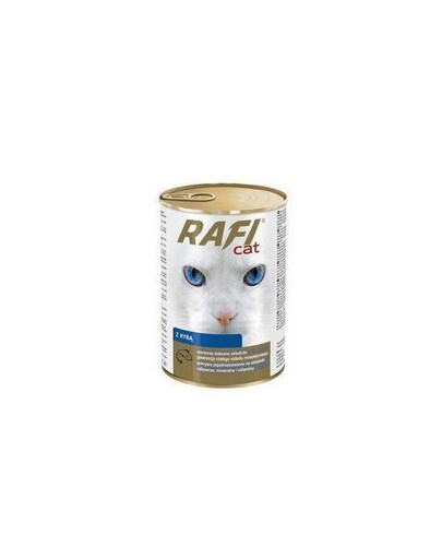 Rafi Cat s lososom v omáčke 415G