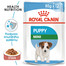 ROYAL CANIN Mini Puppy 85 g x12 kapsička pro malá štěňata