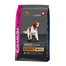 EUKANUBA Adult Small & Medium Breeds Lamb & Rice 2 x 12 kg