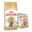 ROYAL CANIN British Shorthair 10 kg + British Shorthair kapsičky 12x85 g