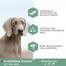 EUKANUBA Daily Care Adult Sensitive Joints 2.3 kg