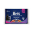 BRIT Cat Adult sada vreciek 4x100g