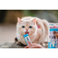 INABA Churu Cat Tuniak s mušľou 4x14g