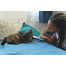 INABA Churu Cat Tuniak 4x14g