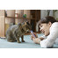 INABA Churu Cat Chicken s krevetami 4x14g