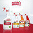 NATURE'S MIRACLE Odstraňovač škvŕn a zápachu Pes melón 946 ml