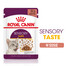 ROYAL CANIN Sensory Taste Gravy 24x85 g kúsky v šťave pre dospelé mačky