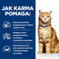 HILL'S Prescription Diet c/d Multicare s kuracím mäsom 3kg
