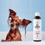 PETS Shampoo Harmančekový šampón pre citlivú pokožku 250 ml