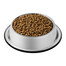 Purina Cat Chow Kitten Rich in Chicken granule pre mačiatka s kuracím mäsom 15 kg