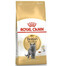 Royal Canin British Shorthair Adult Granule pre dospelé krátkosrsté mačky 10 kg