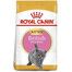 Royal Canin British Shorthair Kitten granule pre britské krátkosrsté mačiatka 0,4 kg