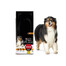 Purina Pro Plan Medium Adult 14 kg - granule pro dospělé psy středních plemen