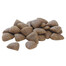 Purina Pro Plan Medium Adult 14 kg - granule pro dospělé psy středních plemen