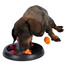 Trixie flip board agility hračka pre psov