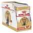 Royal Canin Adult British Shorthair 12 x 85g - vlhké krmivo pre dospelé britské krátkosrsté mačky v omáčke 12x85g