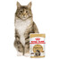 ROYAL CANIN Maine Coon karma mokra w sosie dla kotów dorosłych rasy maine coon 12x85g