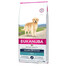 Eukanuba Dog Dry Breed Specific All Golden Retriever Chicken 12 kg granule pre psy s kuracím mäsom