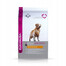 Eukanuba Dog Dry Breed Specific All Golden Retriever Chicken 12 kg granule pre psy s kuracím mäsom