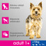 Perfect Fit Adult 1+ XS/S granule pre dospelých psov malých plemien s vysokým obsahom kuracieho mäsa 825 g