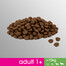 Perfect Fit Adult 1+ Rich in Chicken M/L 825 g granule pre dospelých psov stredných a veľkých plemien 825 g