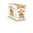 ROYAL CANIN Chihuahua Adult mokré krmivo - paštéta, pre dospelé psy čivavy 12x85g