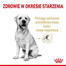 Royal Canin Labrador 5+, 12kg Pelety pre dospelých labradorských retrieverov