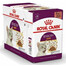 ROYAL CANIN Sensory Taste vlhké krmivo pre mačky stimulujúce chuťové vnemy 12x 85 g