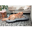 FERA Sky Ponton pelech pre psa L 100 x 73 cm