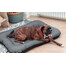FERA Sunset Ponton pelech pre psov M 82 x 57 cm