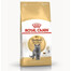 ROYAL CANIN britské krátkosrsté krmivo pre dospelé Britské krátkosrsté mačky 3 x 400 g