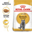 ROYAL CANIN British shorthair 34 2x2 kg krmivo pre dospelé mačky, staršie ako 12 mesiacov, plemena Britská krátkosrstá