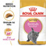 ROYAL CANIN British Shorthair Kitten 6x400 g krmivo pre mačiatka, do 12 mesiacov, plemeno Britská krátkosrstá mačka