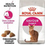 Royal Canin Cat Exigent Savour granule pre vyberavé mačky 10 + 2 kg