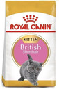 Royal Canin British Shorthair Kitten granule pre britské krátkosrsté mačiatka 0,4 kg