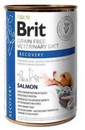 BRIT Veterinary Diet Recovery regeneračné krmivo s lososom pre psy a mačky 400 g